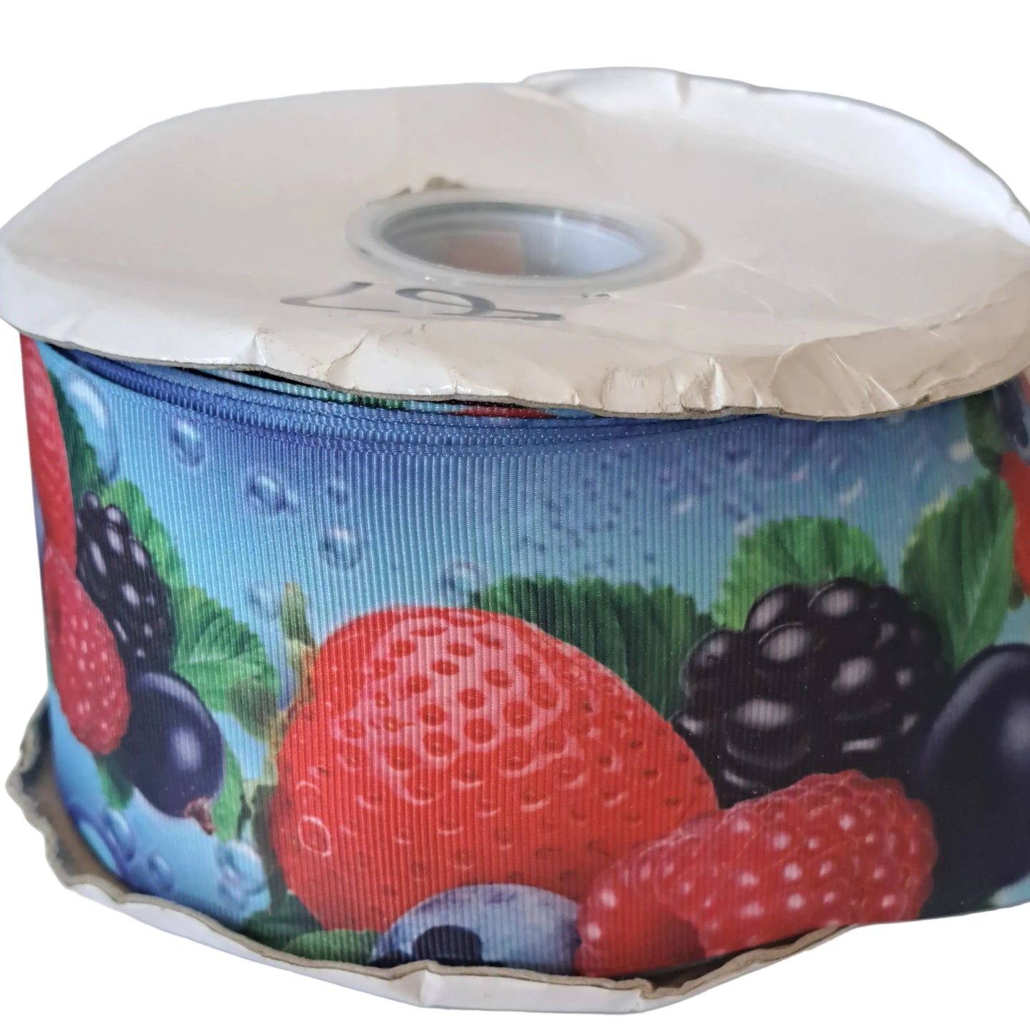 Fruits 3 inch grosgrain ribbon
