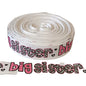 Big sister 25mm grosgrain ribbon leopard print