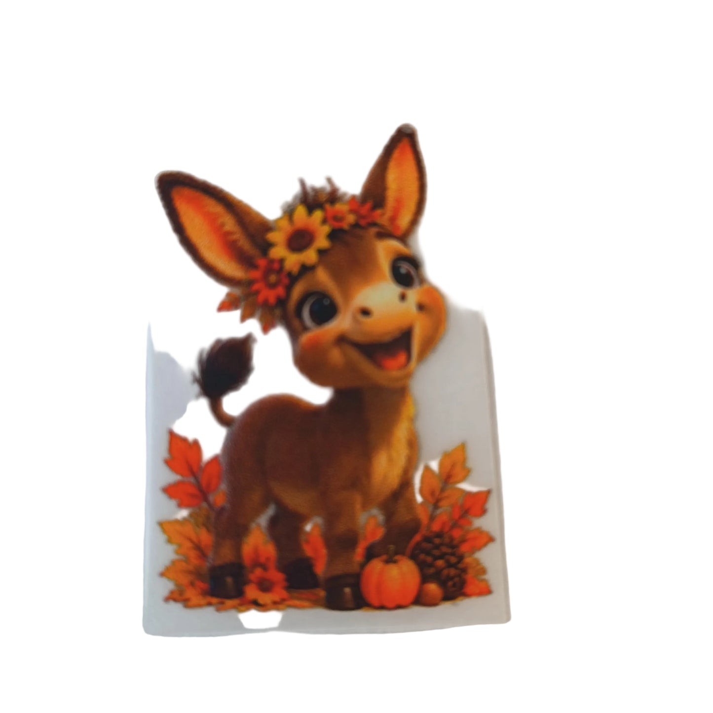 DTF iron on transfers donkey no 28