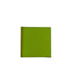 Jasmine green grosgrain ribbon 551