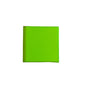 Key lime grosgrain ribbon 544